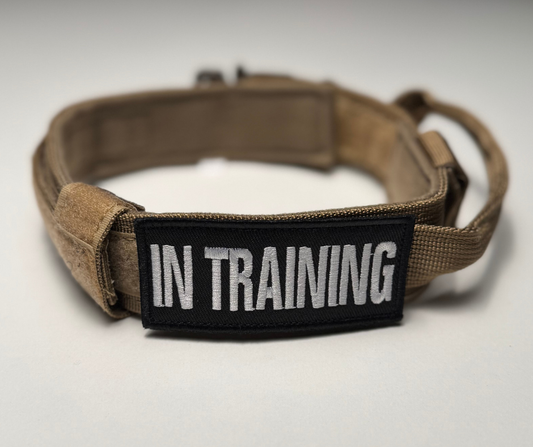 In Training Velcro Patch