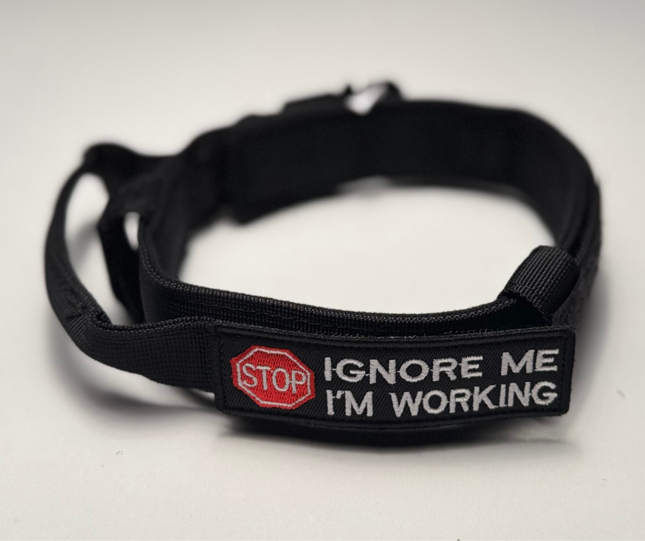 Ignore Me I'm Working Velcro Patch