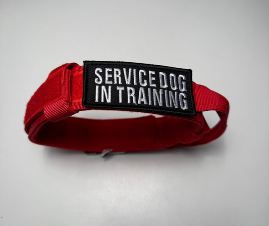 Service Dog In Training Velcro Patch